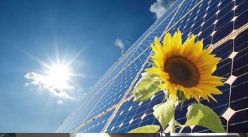 Sonnenblume und Photovoltaik vor Himmel