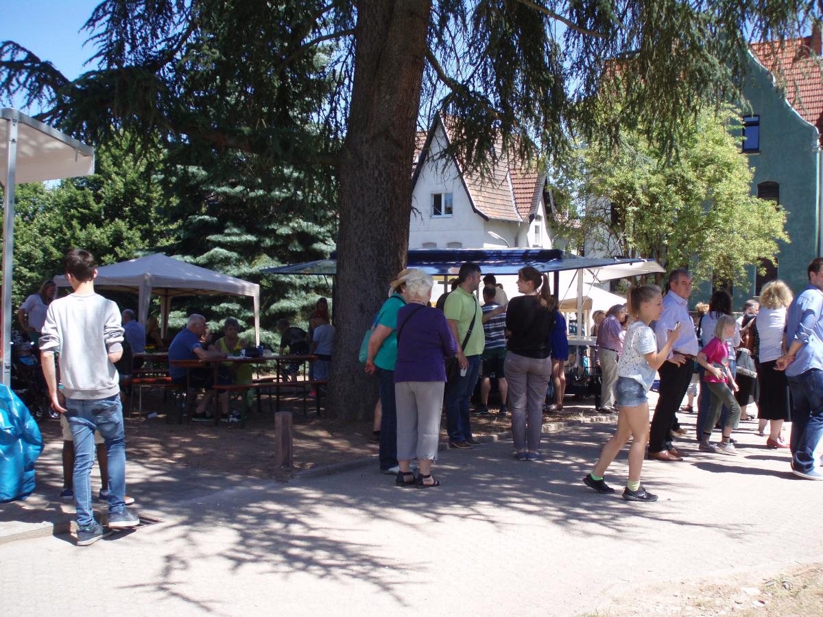 PROJEKT SOMMERGARTEN